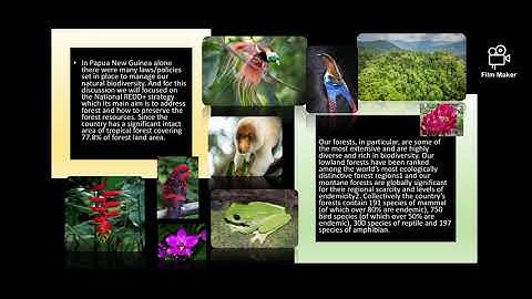 Papua New Guinea National REDD+ Strategy (2017 2027.)🌱