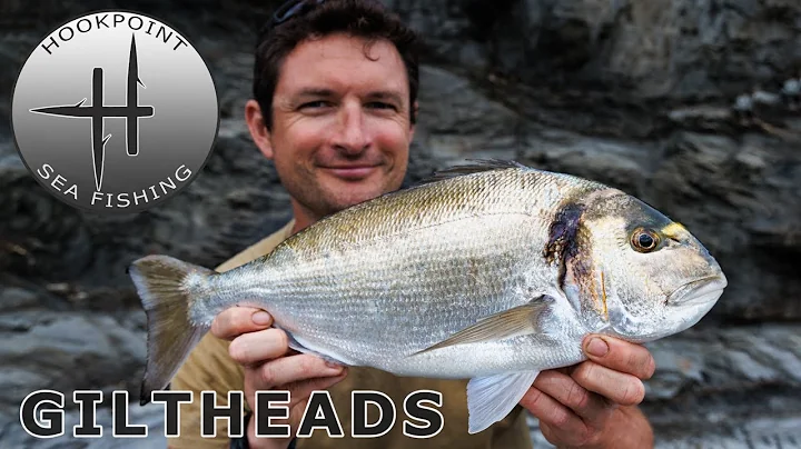 Open Coast Fishing for Gilthead Bream with Ben Con...