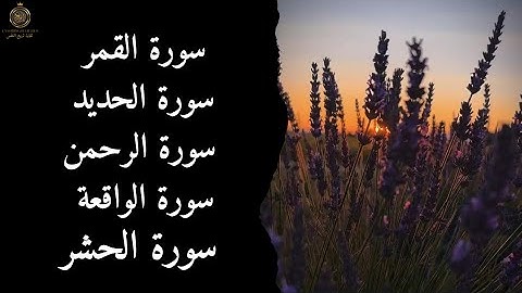 تلاوة خاشعة تهز القلوب | سور القمر – الرحمن – الواقعة – الحديد – الحشر بصوت مؤثر يريح القلب