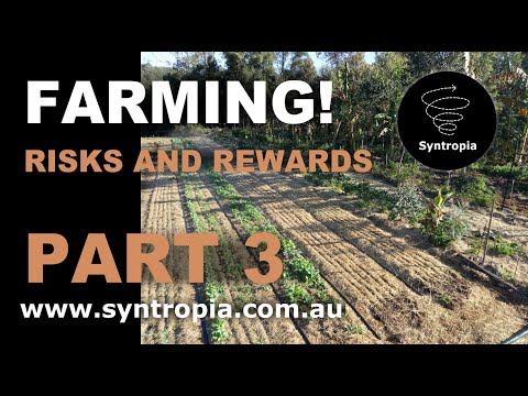 Syntropic Farming: Risks and Rewards, Pt 3