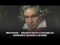 Beethoven - Andante Molto Cantabile (Slowed + Reverb) | Deep Relaxation & Sleep Music