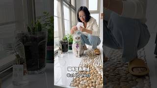 😹Guess Who's The Smartest In The Cat Family?🏆 | Chef Cat Daily Life #Tiktok #Shorts