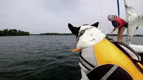 Daysailing our MacGregor 26S on Hartwell (4K!)