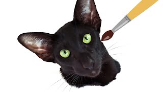 Black Oriental Cat | How to Draw a Cat 🐈🖌 by Oriental Cats Rexton & Bella 2,329 views 2 years ago 57 seconds