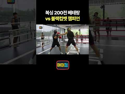 복싱 200전 베테랑 vs 블랙컴뱃 챔피언