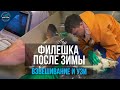 Филешка - Выпуск 4 После зимы, взвешиваем и делаем УЗИ