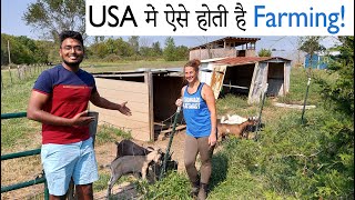 अमेरिकन Farm पे ऐसी होती है life| A day spent on farm in USA  Chickens, Goats, etc. | IndiaVlogger