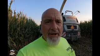 Chopping Corn Silage near West Alexandria Ohio - September 2019