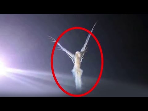 실제 카메라에 찍힌 천사, 무서운동영상 공포영상 | Miss테리의 미스테리 |