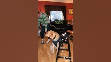 Thumbnail of Jingle Bell Rock (Josh Puddin and Dozer)