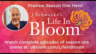 J Schwanke's Life in Bloom - Promo - Season 1