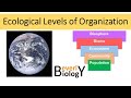 Ecosystem and Ecology Concepts