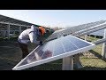 Як на Житомирщині будують одну із найбільших в Україні сонячних електростанцій ®️