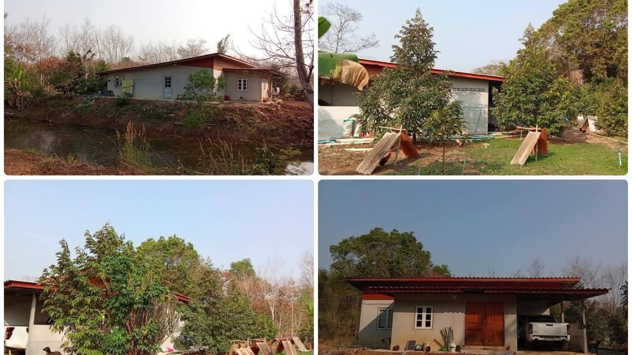 ขายได้ไงราคานี้แต่ใครจริงครับ บ้านพร้อมสวนทุเรียน ขนาด 3 ไร่ ยกราคา 1 ล้านบาท ทุเรียนให้ผลแล้ว