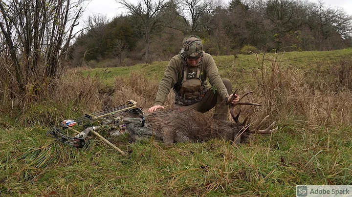 WARRIOR Buck | Wisconsin Public Land | Bowhunter 24/7