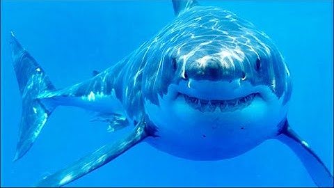 Stranded Deep - Part 2: Crafting Blues