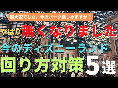 【ディズニーランド】本当に、ギリギリでした。大混雑日の回り方対策５選 実際に行ってわかったディズニークリスマスを徹底解説