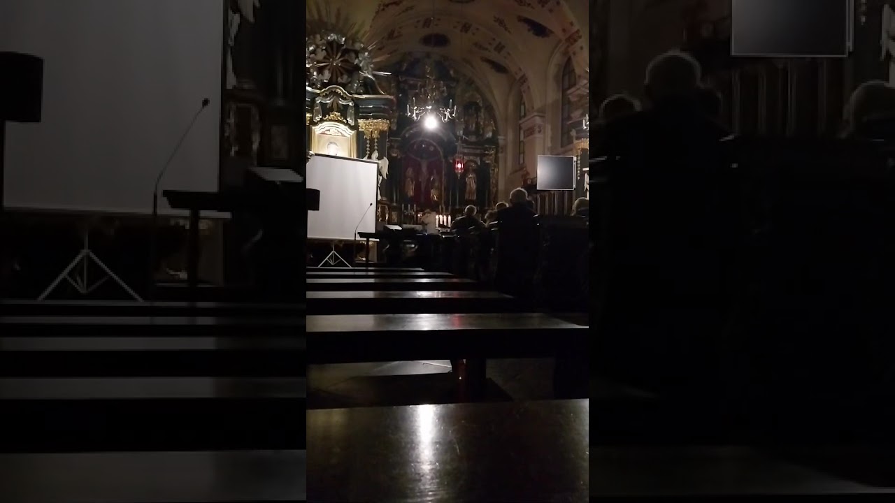 Amelia Kania - Niech nas ogarnie
