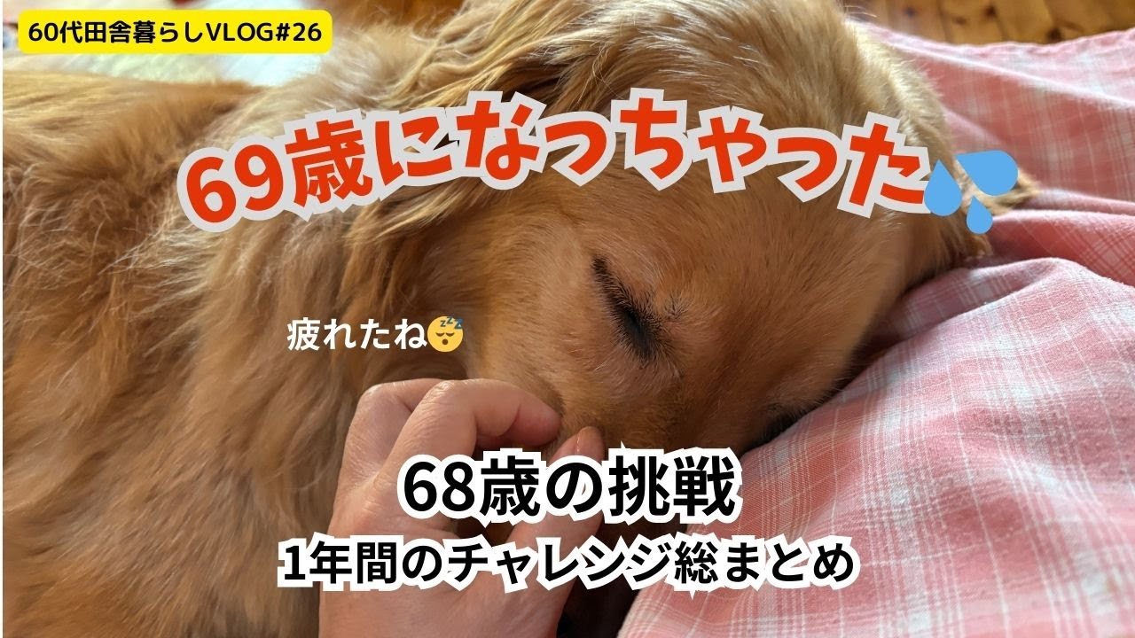 田舎移住したmikomoko。69歳になっちゃった。1年間の活動まとめました。