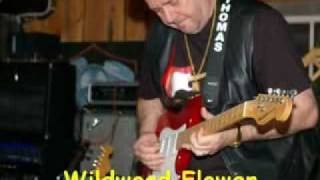 Wildwood Flower (instrumental) chords