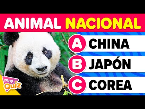 Vídeo: Quin és el nostre animal nacional?