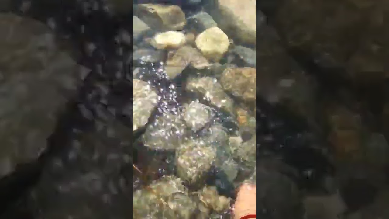 kailash mansarover and sound of om /@omparvat