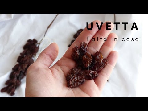 Video: Come Fare Un Decotto Di Uvetta