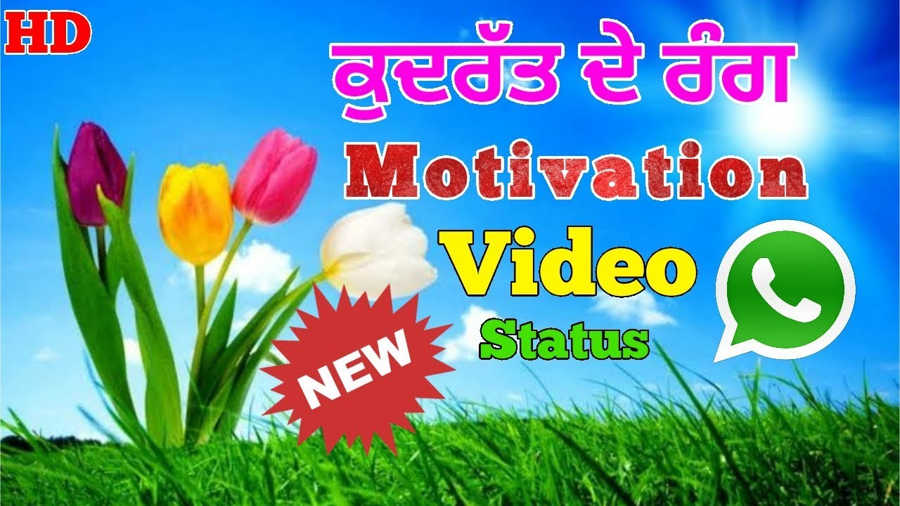 ਕੁਦਰੱਤ ਦੇ ਰੰਗ||Motivation Punjabi Whatsapp Video Status||Toor Films