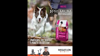 Eukanuba Premium Perfomance