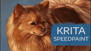 Krita Speedpaint | Pet Portrait Commission by Noctualis 8,647 views 5 years ago 11 minutes, 14 seconds