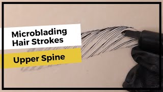 MICROBLADING HAIR STROKE (UPPER SPINE TUTORIAL)