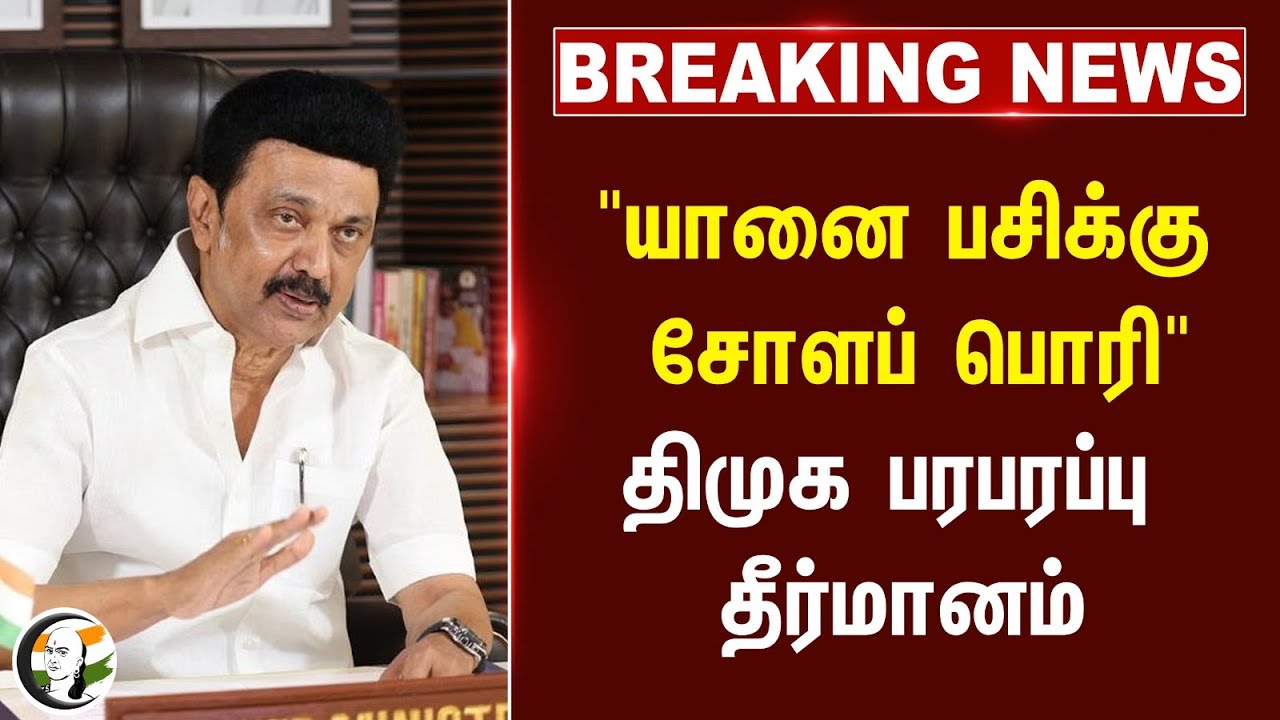 #breakingnews : "யானை பசிக்கு சோளப் பொரி" DMK பரபரப்பு தீர்மானம் | MK Stalin | DMK MP Meeting