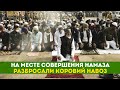 На месте совершения намаза разбросали коровий навоз