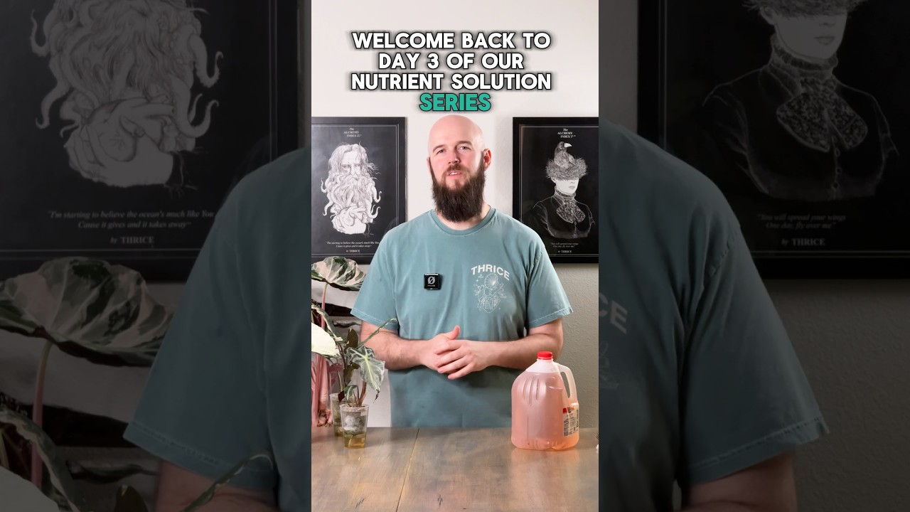 Питательный раствор, часть 3 | добавки 