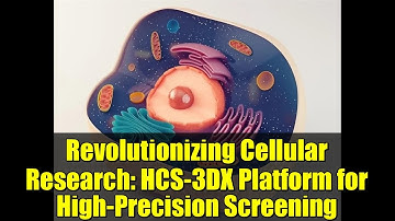 Revolutionizing Cellular Research: HCS-3DX Platform for High-Precision Screening