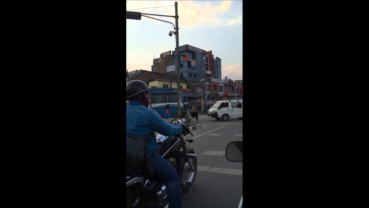 Cows crossing a busy road in Kathmandu, Nepal