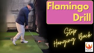 Are you sick of hitting it fat? Try the Flamingo Drill and starting flushing your irons!