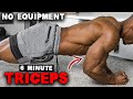 6 MINUTE TRICEP WORKOUT | NO EQUIPMENT NEEDED!