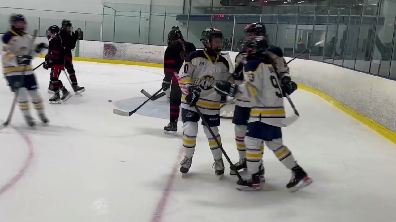 A swatch of pink in every hockey rink —