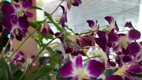 SOEKARNO HATTA International Airpot Terminal 3 Walking Tour~JAKARTA INDONESIA