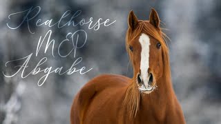 Realhorse Mep Abgabe An Shadoezi