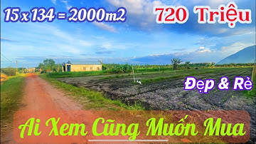 Chủ cần tiền ngay vì ăn chơi 💥  giảm sâu lô đất hơn 2.000m² – Ai xem cũng muốn mua!