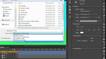 Exporting Flash Files