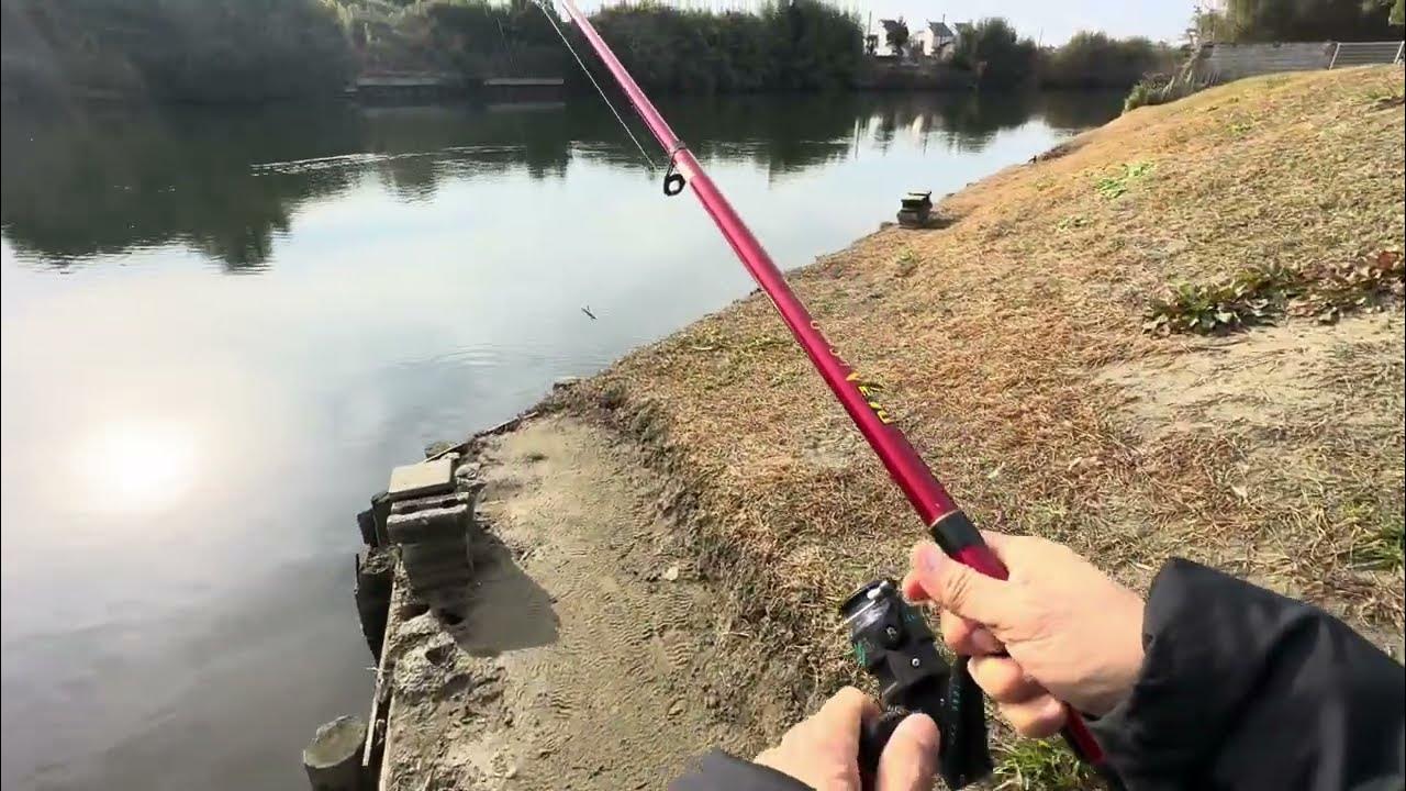 Relaxing fishing from my home. 11.4.2024 