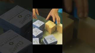 Preparing for Bloom Festival Ireland | Family Workshop Behind the Scenes | Clarkes of Dublin