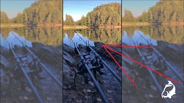 Carp Run COMPILATION 2020! PART 47!