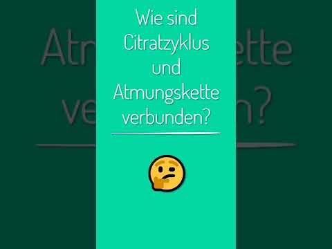 Video: Wie ist die Glykolyse mit dem Krebs-Zyklus verbunden?