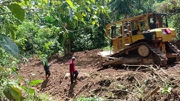 CAT D6R XL Bulldozer Cleaning Plantation Road