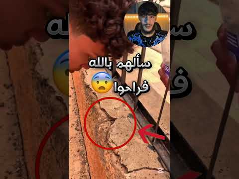 أول ما سأل بالله النمل يروحوا من المكان ثار شيء عجيب مستحيل 