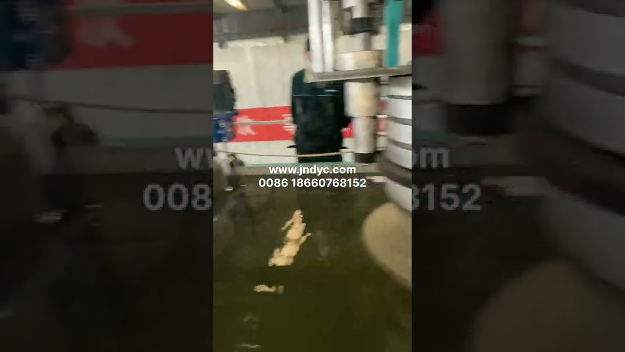 plastic geonet 3D drainage net production line